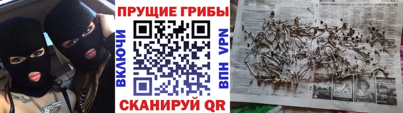 Псилоцибиновые грибы GOLDEN TEACHER Заозёрск