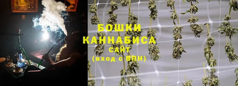 закладка  Заозёрск  Марихуана SATIVA & INDICA 